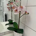 Apartamento Naer Sentrum Skoyen Oslo