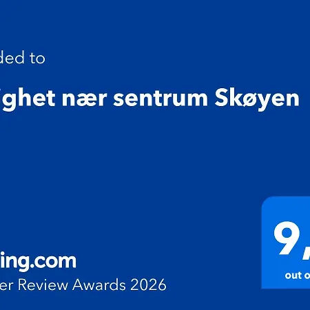 Naer Sentrum Skoyen *