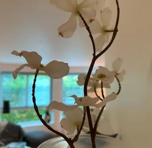 Naer Sentrum Skoyen *