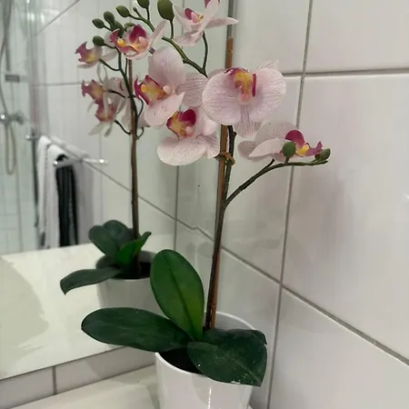 Leilighet Naer Sentrum Skoyen Oslo